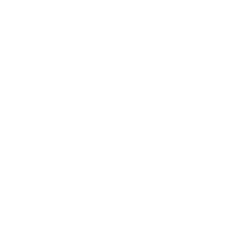Card 3 Icon